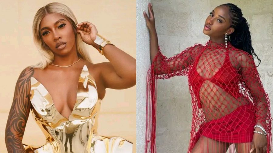 Make Your Skirts Shorter – Tiwa Savage Encourages Ayra Starr